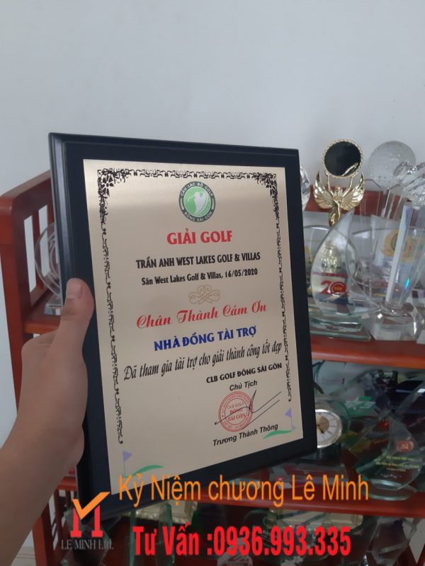 kỷ niệm chương gỗ đồng 335